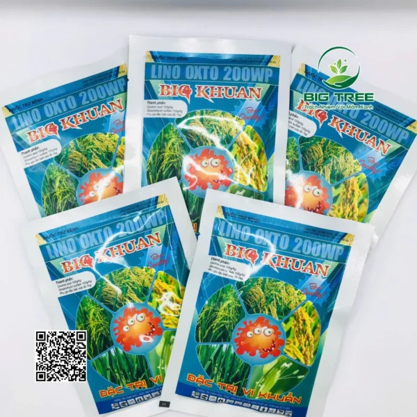 Thuốc trừ bệnh Lino Oxto 200WP hiệu BIG KHUẨN - Hình ảnh 9