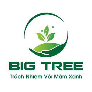 CÔNG TY CỔ PHẦN BIG TREE