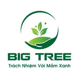 CÔNG TY CỔ PHẦN BIG TREE