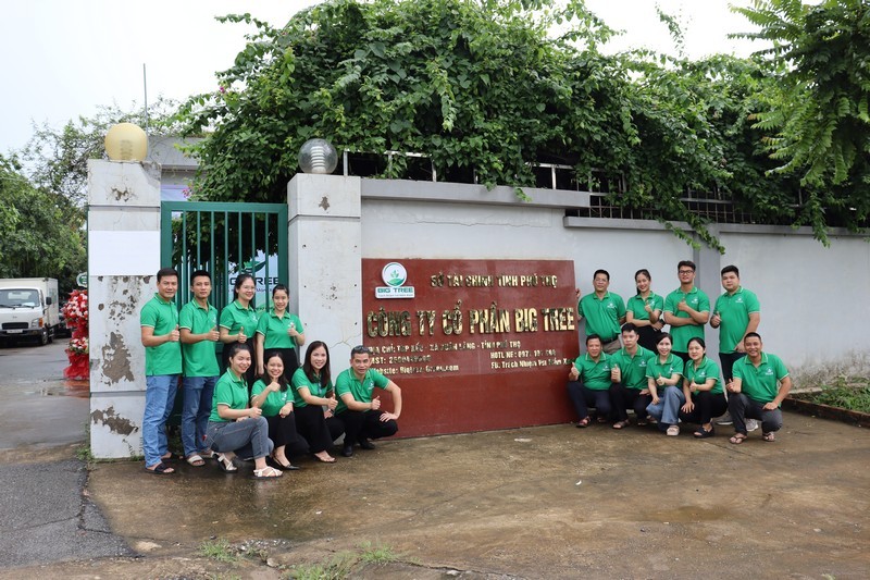 THÔNG BÁO HỢP NHẤT DOANH NGHIỆP VÀ THAY ĐỔI NHẬN DIỆN THƯƠNG HIỆU BIG TREE